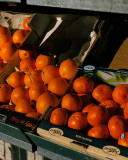 Simon Gerlinger – DIARY