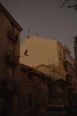 Simon Gerlinger – DIARY