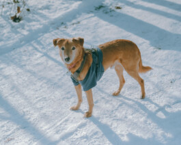 Simon Gerlinger – DIARY