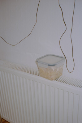 Simon Gerlinger – DIARY