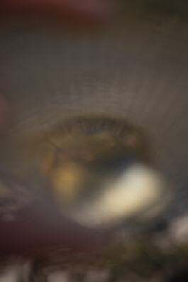 Simon Gerlinger – DIARY