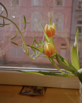 Simon Gerlinger – DIARY