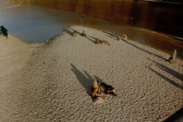 Simon Gerlinger – DIARY