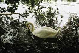 Simon Gerlinger – DIARY