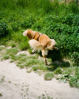 Simon Gerlinger – DIARY