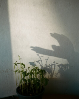 Simon Gerlinger – DIARY