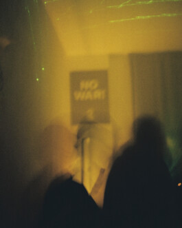 Simon Gerlinger – DIARY