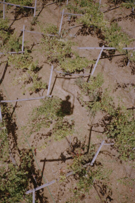 Simon Gerlinger – DIARY