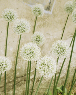 Simon Gerlinger – DIARY