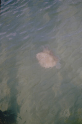 Simon Gerlinger – DIARY