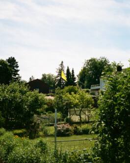 Simon Gerlinger – DIARY