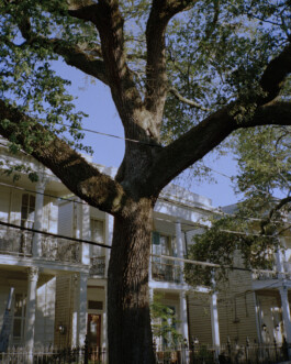 Simon Gerlinger – DIARY