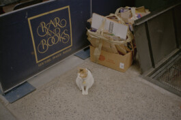 Simon Gerlinger – DIARY