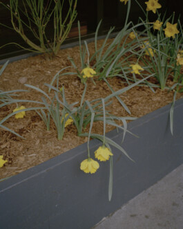 Simon Gerlinger – DIARY