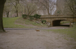 Simon Gerlinger – DIARY