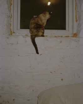 Simon Gerlinger – DIARY