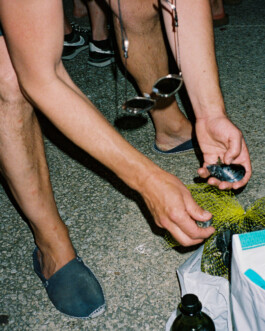 Simon Gerlinger – DIARY