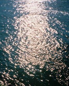 Simon Gerlinger – DIARY