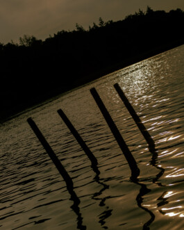 Simon Gerlinger – DIARY