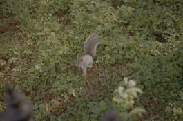 Simon Gerlinger – DIARY