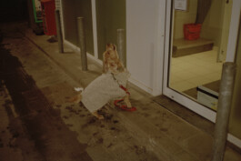 Simon Gerlinger – DIARY