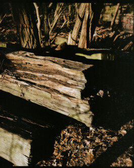 Simon Gerlinger – DIARY