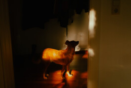 Simon Gerlinger – DIARY