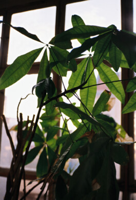 Simon Gerlinger – DIARY