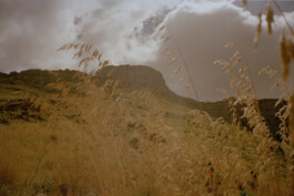 Simon Gerlinger – DIARY