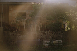 Simon Gerlinger – DIARY