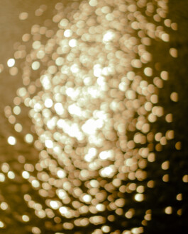 Simon Gerlinger – DIARY