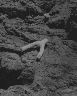 Simon Gerlinger – DIARY