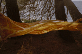 Simon Gerlinger – DIARY