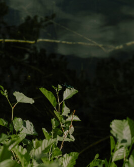 Simon Gerlinger – DIARY