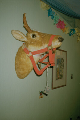 Simon Gerlinger – DIARY