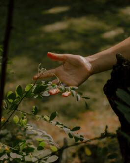 Simon Gerlinger – DIARY