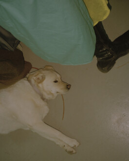 Simon Gerlinger – DIARY