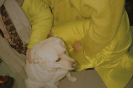 Simon Gerlinger – DIARY