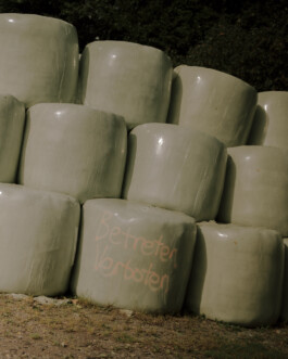 Simon Gerlinger – DIARY