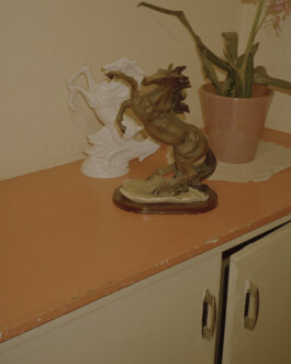 Simon Gerlinger – DIARY