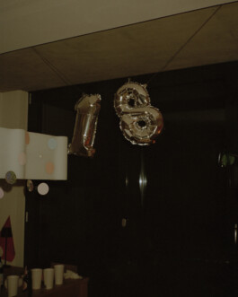 Simon Gerlinger – DIARY