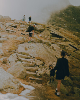 Simon Gerlinger – DIARY