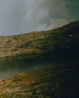 Simon Gerlinger – DIARY