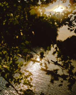 Simon Gerlinger – DIARY