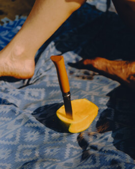 Simon Gerlinger – DIARY