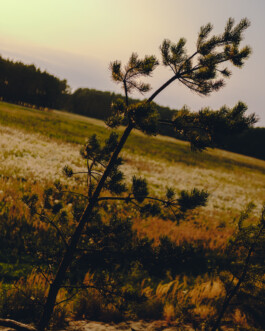 Simon Gerlinger – DIARY