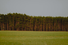 Simon Gerlinger – DIARY