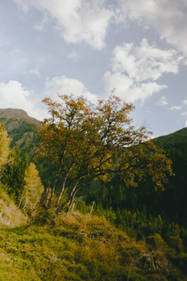 Simon Gerlinger – DIARY