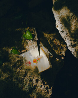 Simon Gerlinger – DIARY