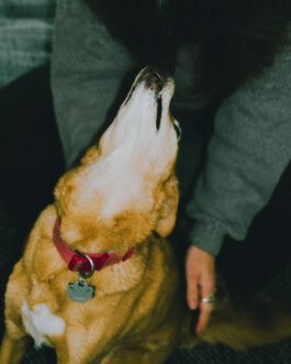 Simon Gerlinger – DIARY